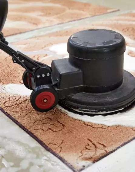 Sutherland Carpet Cleaning