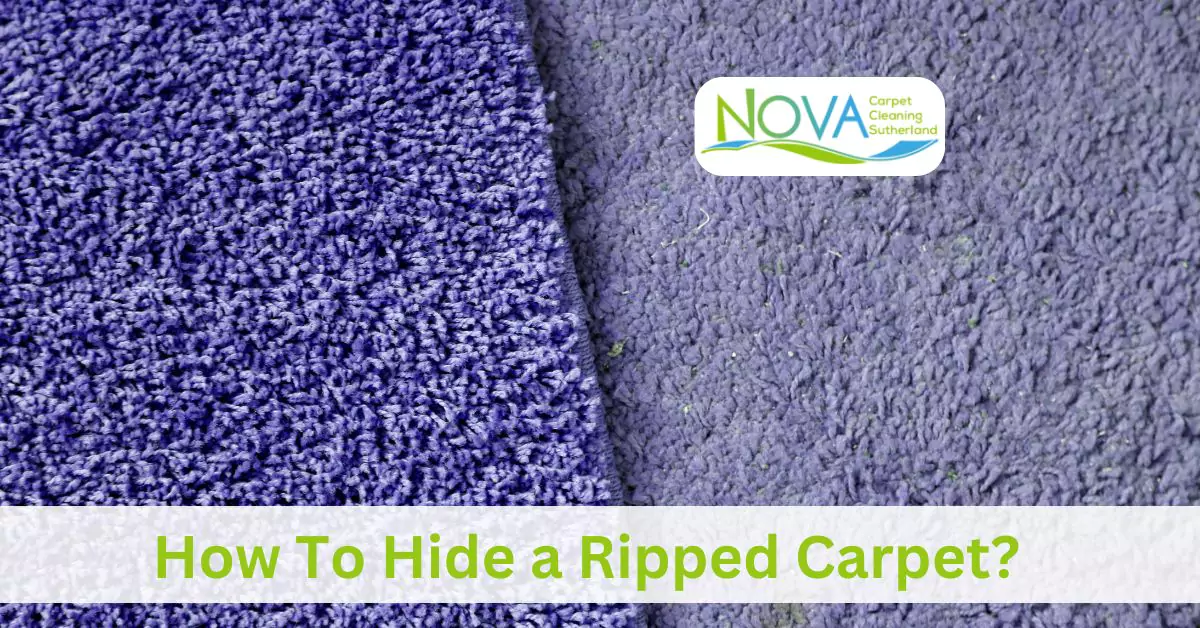 Carpet Cleaning Sutherland